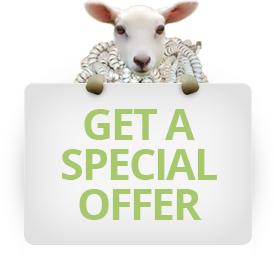 Special International cheap call Offer
